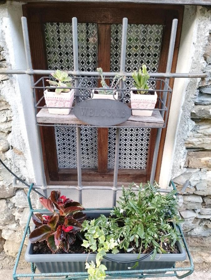 Apartament Casa Millin Borzonasca Zewnętrze zdjęcie